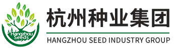 杭州新宝GG集团